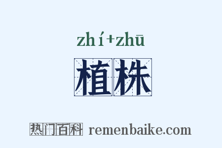 植株是什么意思的图片
